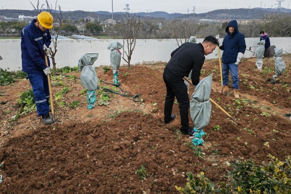 春雨润沃野，不误农时不负春——南京海中组织开展义务种植劳动