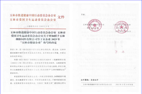 兴业海螺环保公司荣获“玉林市健康企业”荣誉称号