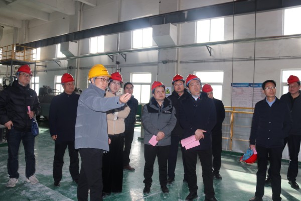 陕西省生态环境厅到乾县海化水洗飞灰项目开展调研指导